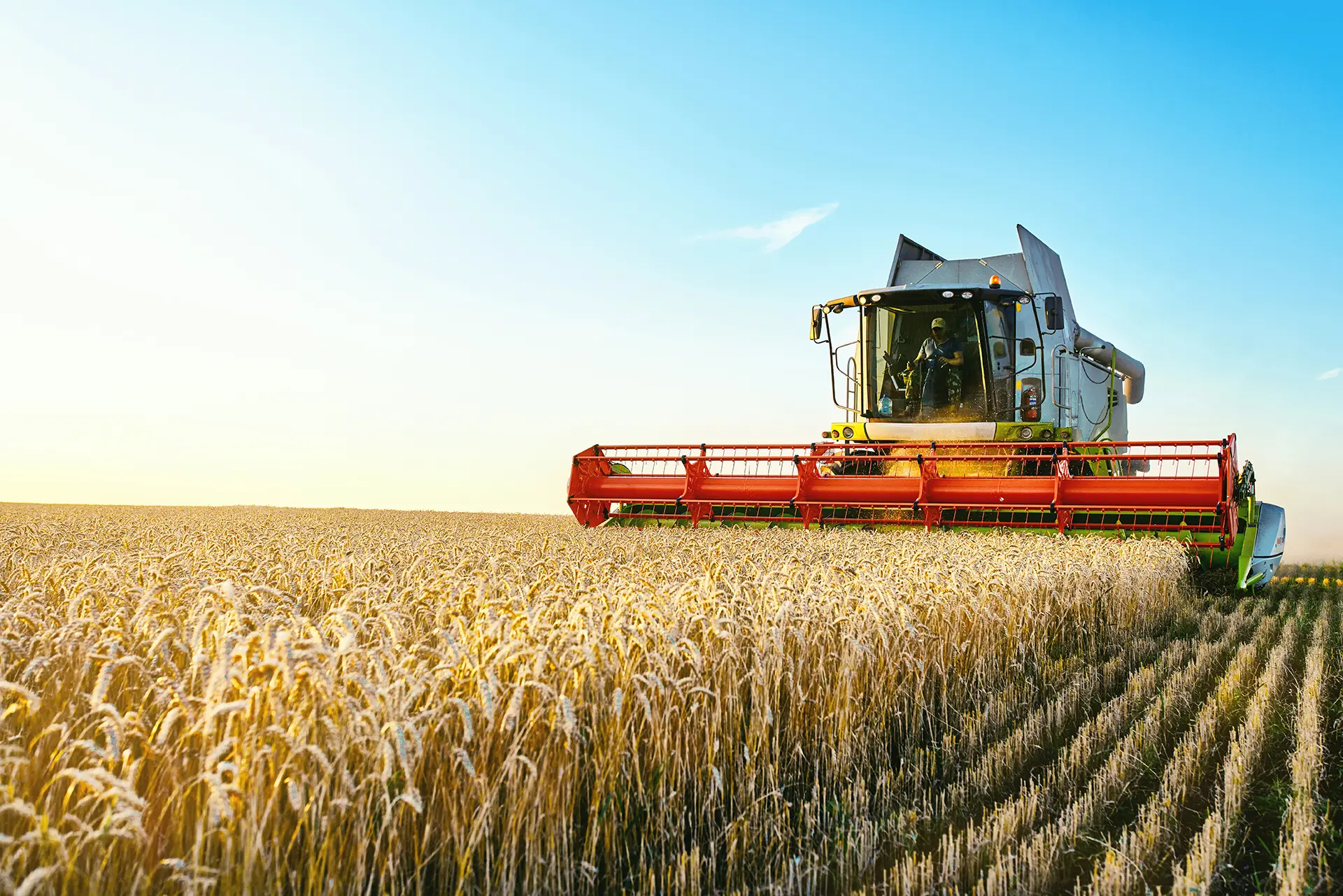 Fleet Monitoring Solutions for Agricultural Businesses